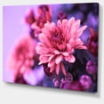 thumbnail image 2 of Chrysanthème Automnal Coloré - Impression sur Toile Florale, 2 of 4