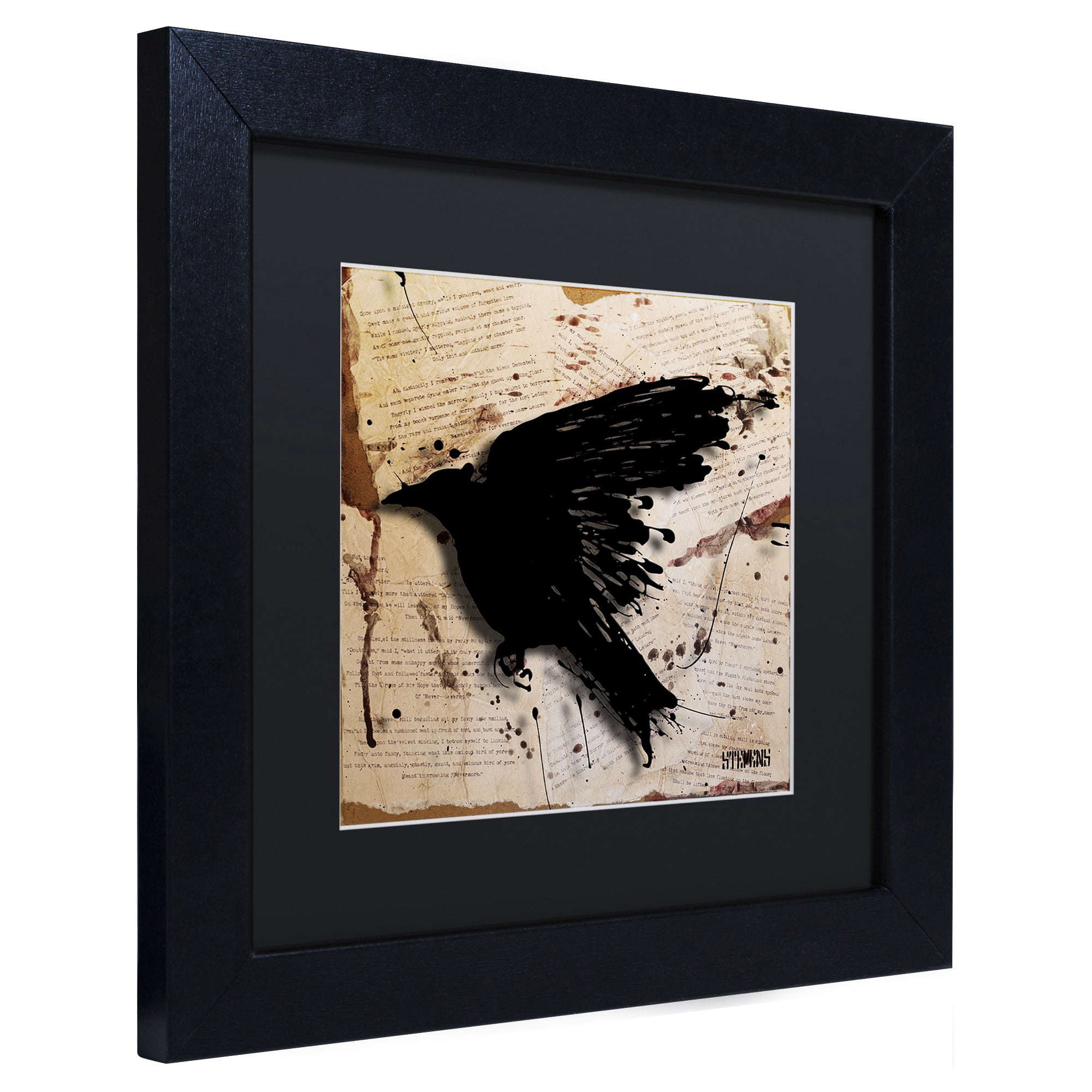 Trademark Fine Art "The Raven 3" Canvas Art by Roderick Stevens, Black Matte, Black Frame