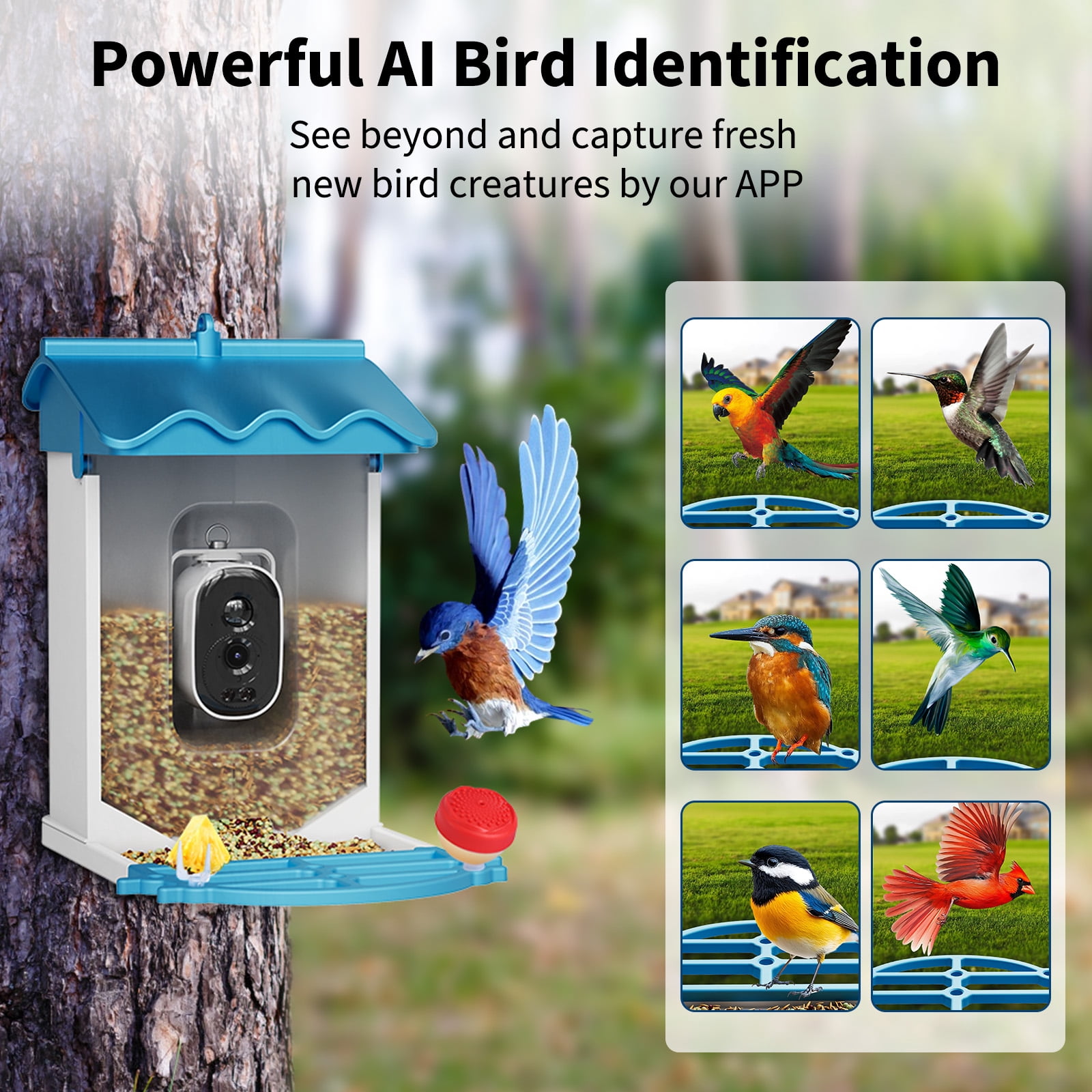 Solar-Powered Smart Bird Feeder with 4K Camera, AI Bird Recognition, Night Vision, App Alerts, Auto Recording, Squirrel Proof, Outdoor Wildlife Monitor, Blue
