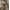 Camo, variant on Weekend Academy Boys Straight Fit Cargo Pants, Sizes 4-18