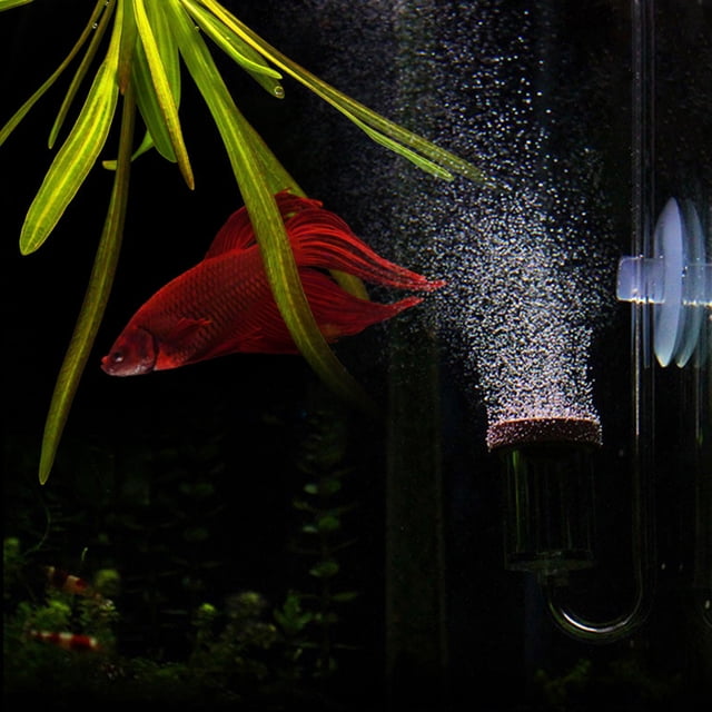 Tbest Diffuseur Atomiseur de CO2, Léger et Portable pour Aquarium