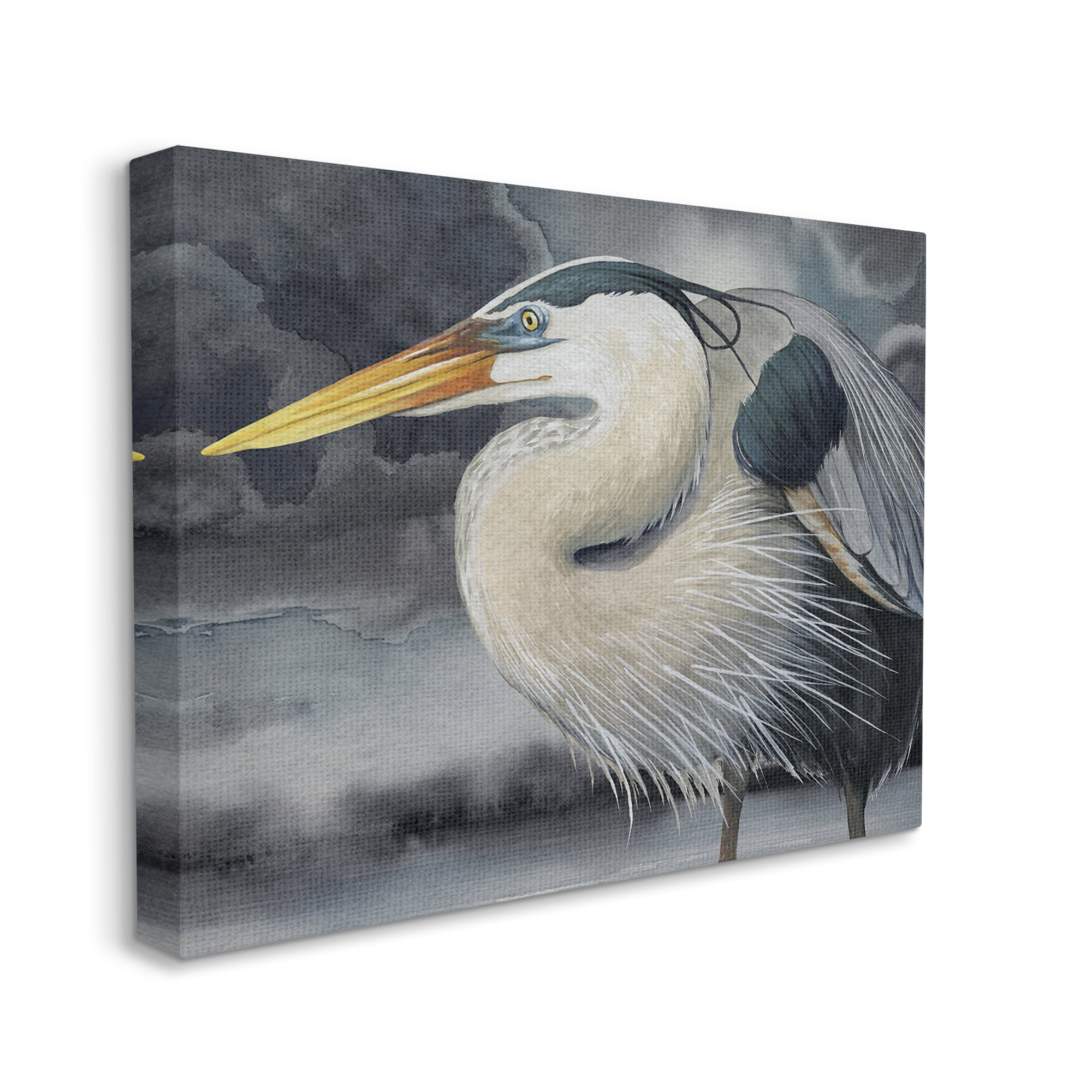 Stupell Industries Dark Heron Portrait Animals & Insects Painting Gallery Wrapped Canvas Art Print Wall Art, 20 x 16