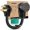 Black, variant on Nilight EV Dryer Adapter Cord 30 Amp to 30Amp 3 Prong 125V 3750 Watt Pure Copper Dryers Old Outlet New Plug Conversion Heavy Duty 10 Gauge Wires 10-30P to 14-30R 30M/30F
