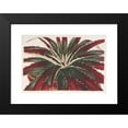 thumbnail image 2 of Charles Antoine Lemaire 14x11 Black Modern Framed Museum Art Print Titled - Hechtia Ghiesbreghtii (1854-1896), 2 of 5