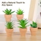 thumbnail image 3 of 50 mini macetas de terracota, macetas suculentas de 1,2 pulgadas con agujeros de drenaje, maceteros de flores de cactus en miniatura, pequeñas macetas de terracota de arcilla para plantas de interior, 3 of 6