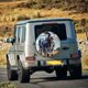 thumbnail image 5 of Fotbe Colorful Cow Pasture Funda de Llanta de Repuesto con Estampado, Engrosada, Ajuste Universal para Jeep, Remolque, RV, SUV, Camión-17 inch, 5 of 6