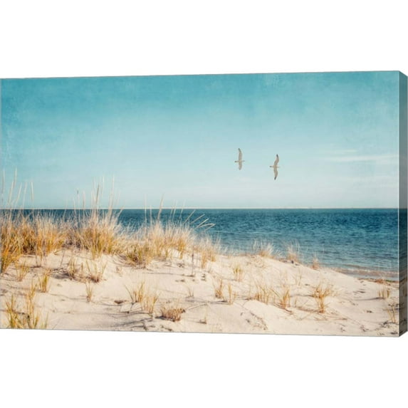 Great Art Now Beach & Gulls by Brooke T. Ryan, Canvas Wall Art, 30W x 20H