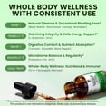 thumbnail image 3 of Lukaree Premium Liquid Gut Cleanse & Detox Drops - with Black Walnut, Wormwood, Soursop & L-Glutamine - Supports Digestive Health, Microbiome Balance & Gut Lining - 4 fl oz(60 Servings), 3 of 9