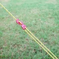 thumbnail image 5 of 4-Pack Reflective Reinforced Windproof Tent Ropes with Buckles Camping Accessories, 5 of 5
