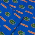 thumbnail image 5 of Florida Gators Pillowcase - Body Pillow - 20" x 60", 5 of 5
