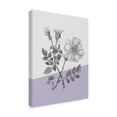 thumbnail image 2 of Trademark Fine Art 'Botany IV Color Block' Canvas Art by Wild Apple Portfolio, 2 of 3