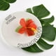 thumbnail image 3 of Fiesta en la jungla, decoraciones hawaianas con temática de jungla Tiki Luau para celebraciones de verano, guirnalda de hojas de tucán con pájaros tropicales, linternas de papel en forma de abanico,, 3 of 5