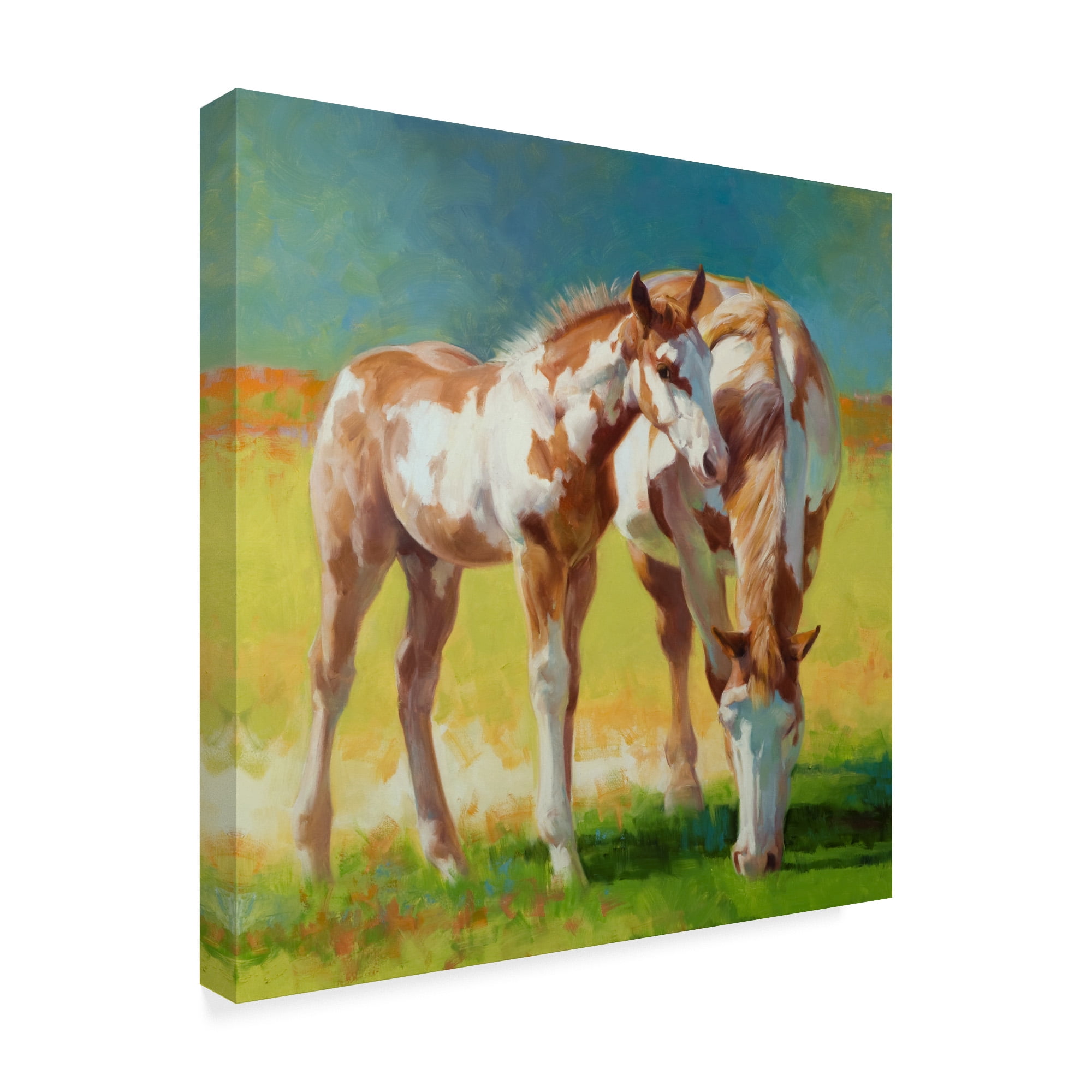 Trademark Fine Art 'Abstract Art' Canvas Art by Julie T. Chapman