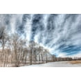 thumbnail image 2 of Goldwitz, Robert 14x11 White Modern Wood Framed Museum Art Print Titled - Winter Treeline, 2 of 4