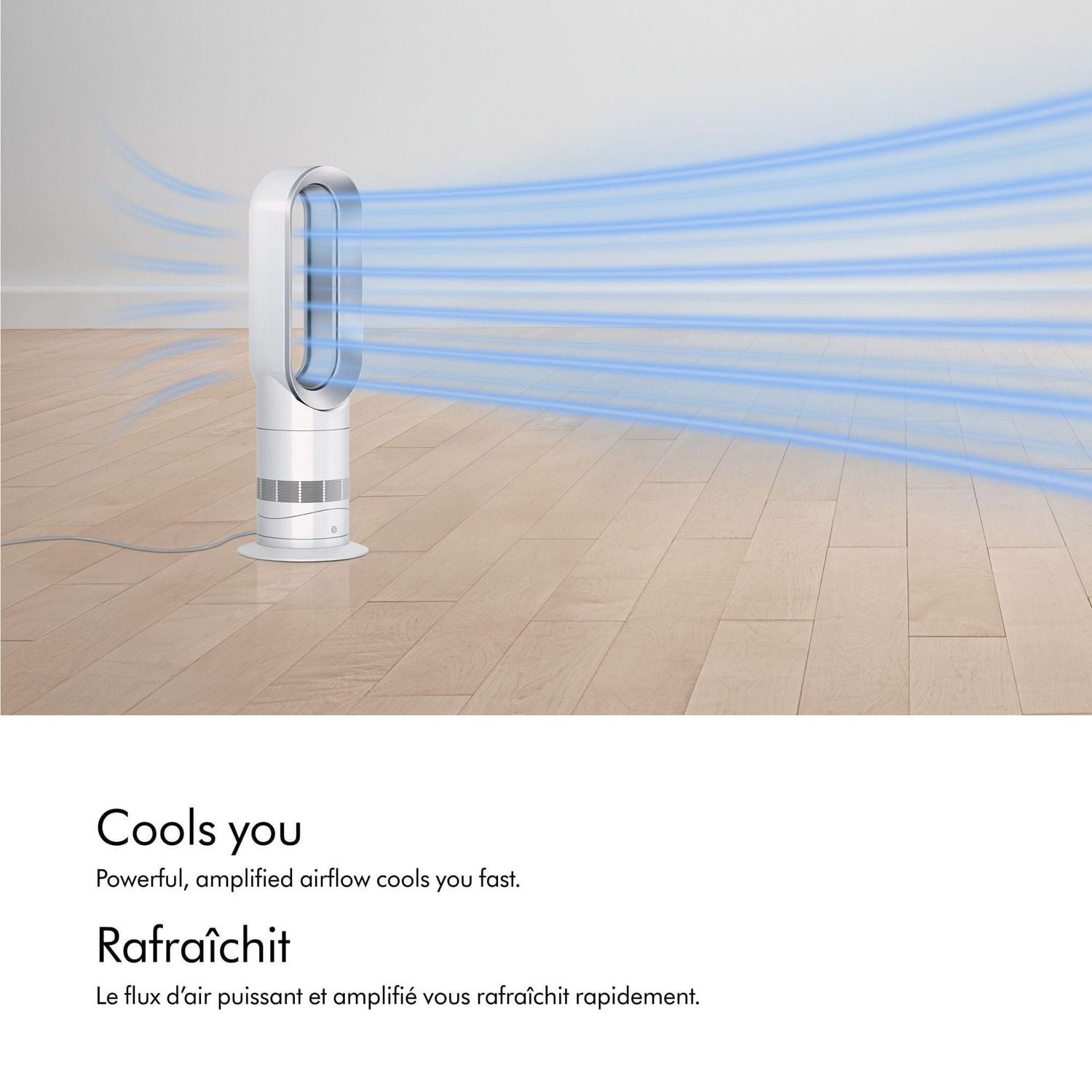 Dyson AM09 Hot + Cool Fan Heater - Walmart.ca