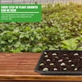 thumbnail image 1 of 10Pcs Germination Tray Eco-friendly High Survival Rate PVC Greenhouse Plant Nursery Pot for Home, 1 of 9