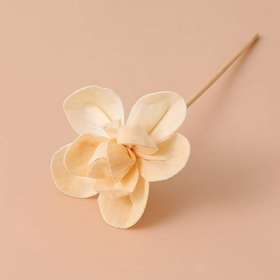 EXHUMKY BERTDOMD Home Scent Diffuser with Natural Reed Sticks for Room Fragrance and Aromatherapy