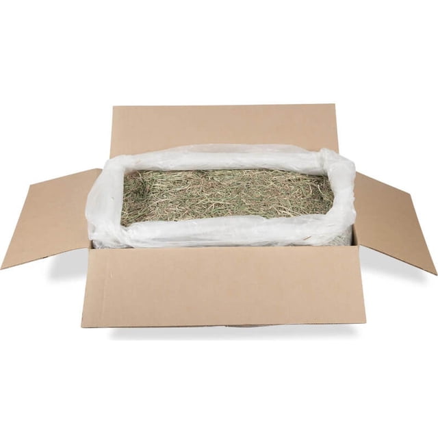 Heno Timothy Hay Gold American Pet caja 11.3 kg cuyo conejo American Pet Heno Hay Gold American Pet caja 11.3 kg cuyo