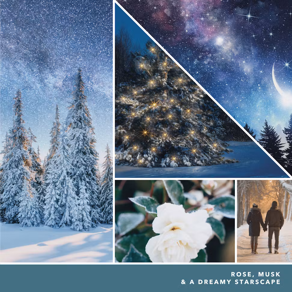 thumbnail image 2 of Yankee Candle Holiday WINTER NIGHT STARS Scenterpiece Easy MeltCup 2.2 Ounce, 2 of 3