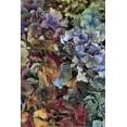 thumbnail image 2 of Terrill, Steve 13x18 White Modern Wood Framed Museum Art Print Titled - USA, Oregon, Portland Hydrangeas in garden, 2 of 4