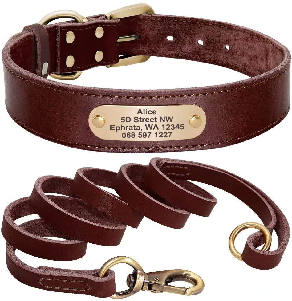 Leather Dog Collar with Nameplate for Small Medium Large Breed Adjustable Brown 