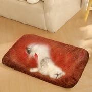 LSLJS Pet Bed Mat for Winter Warmth and Washability, Fabric Cat Bed Pad Dog Bed Mats