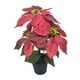 thumbnail image 2 of Planta de Pascua artificial navideña Bonsái artificial Plantas artificiales Navidad 3 cabezas, 2 of 9