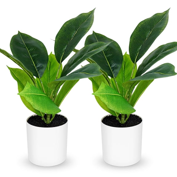 Huryfox Fake Plant Artificial Rubber Tree in White Pot Set of 2, 16 Inch Tall Potted Faux Plants for Home Decor Indoor Tabletop Shelf Living Room Bedroom Office