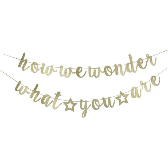 How We Wonder What You Are Banner, Baby Shower & First Birthday Party Decor, Gender Reveal Party Supplies