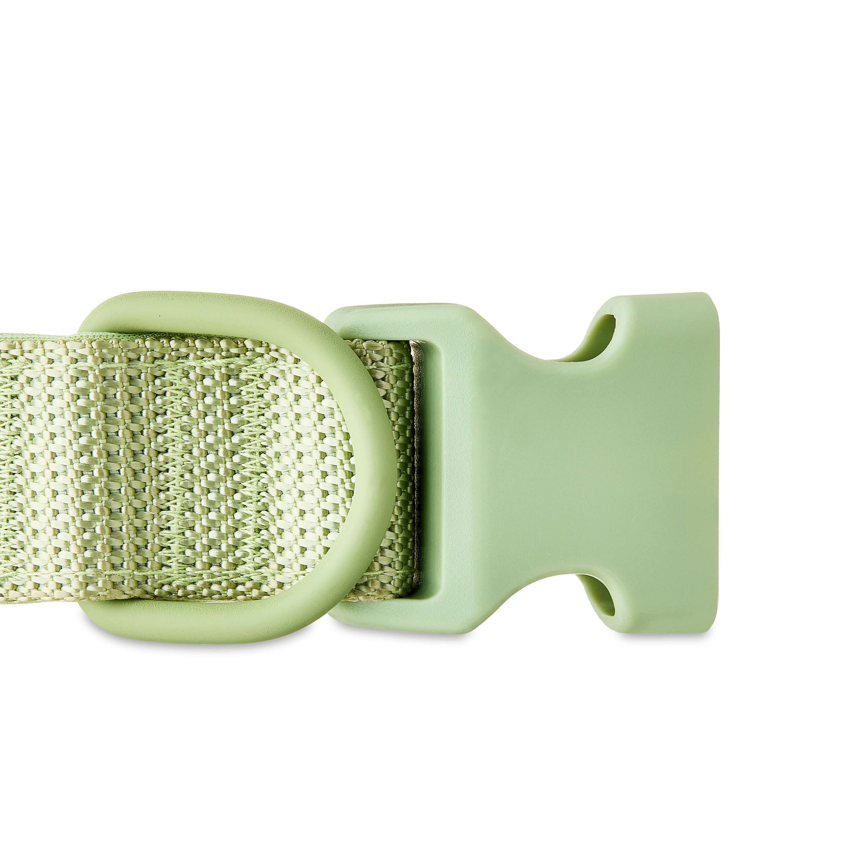 Vibrant Life Neoprene Cushioned Adjustable Dog Collar, Sage Green, XL