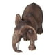 thumbnail image 4 of Modelo De Elefante, Modelo De Animales Salvajes, Sensación Realista Y Cómoda, Pintado A Mano Para El Hogar, 4 of 7