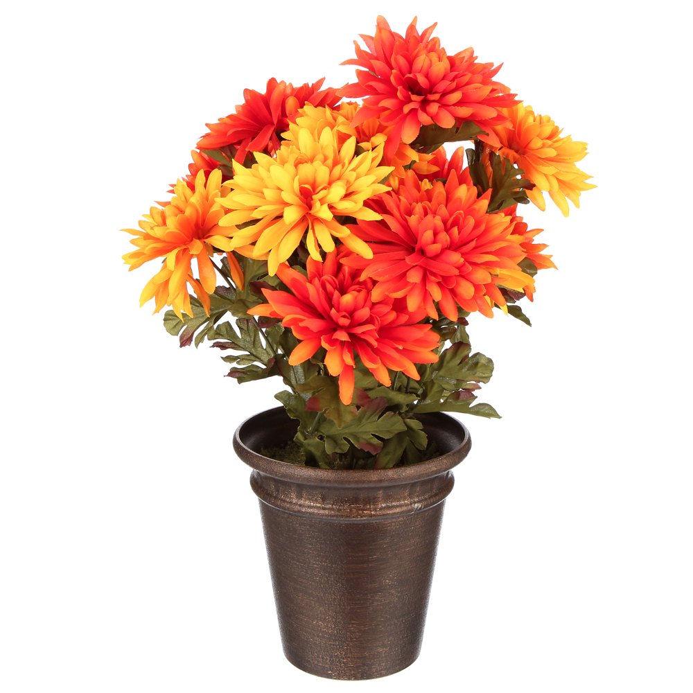 Way to Celebrate Harvest Orange Chrysanthemum Mixed Bouquet Pot