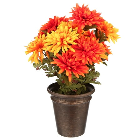 Way to Celebrate Harvest Orange Chrysanthemum Mixed Bouquet