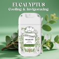 thumbnail image 4 of Travel Size Toilet Spray, Air Freshener Spray for Bathroom Deodorizer, Travel Essentials Variety with Removable Hook - Lemon Lavender Eucalyptus Scent, 4 of 4