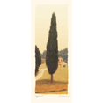 thumbnail image 3 of Melious, Amy 8x14 Black Modern Framed Museum Art Print Titled - Cypress I, 3 of 5