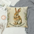 thumbnail image 2 of ARISTURING  Easter Carrot Bunny Throw Pillow Cover, Happy Easter Cushion Case for Sofa Couch, 2 of 5