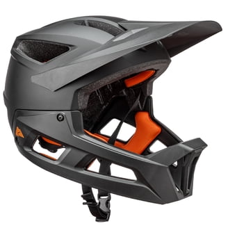 arena football team with fire on helmet Louisville Fire