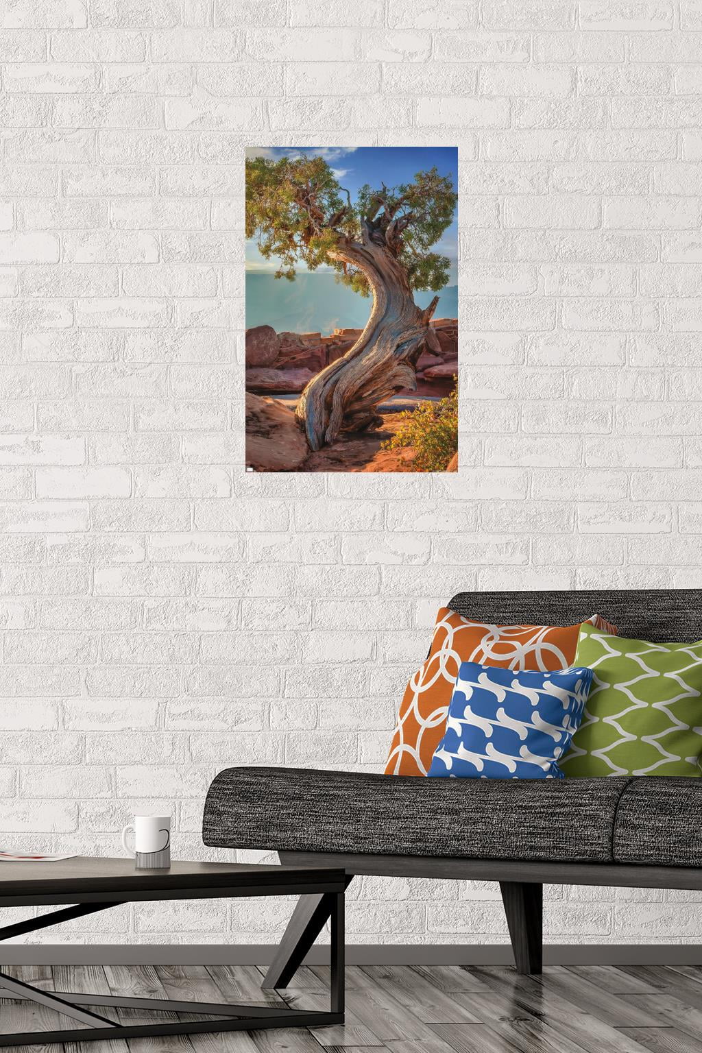 Beth Sheridan - Dead Horse Point Wall Poster, 14.725" x 22.375"