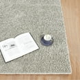 WhizMax 11x15 feet Living Room Bedroom Area Rug Soft Luxury Thick Area