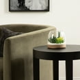 thumbnail image 2 of DesignOvation 5"H Tabletop Artificial Succulent Glass Terrarium on Wood Base, 2 of 10