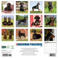 thumbnail image 2 of Doberman Pinschers 2026 Wall Calendar, (Paperback), 2 of 5