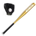 thumbnail image 1 of Tignapoo Ensemble de Baseball pour Jeunes avec Batte Dorée, Gant Noir et Balle - Kit 3 Pcs pour Enfants, 1 of 1