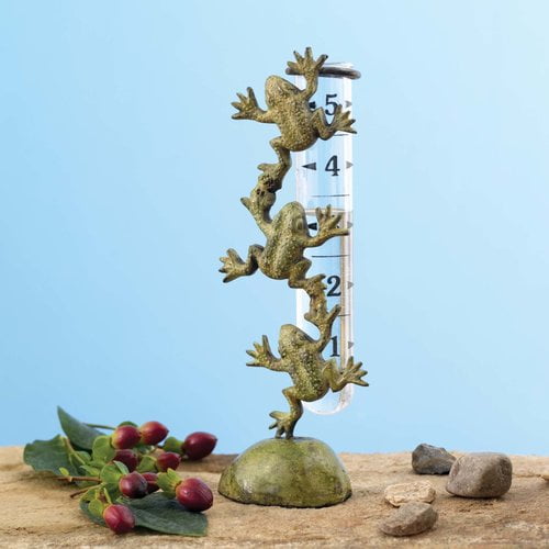 Ancient Graffiti Frog Rain Gauge by Ancient Graffiti