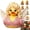 G, variant on Parton Memorial Duck, Dolly Memorial Duck, Music Decor, A Thoughtful Gift for Music Fans and Anyone Who Appreciates Unique Music Decor Figurines, G