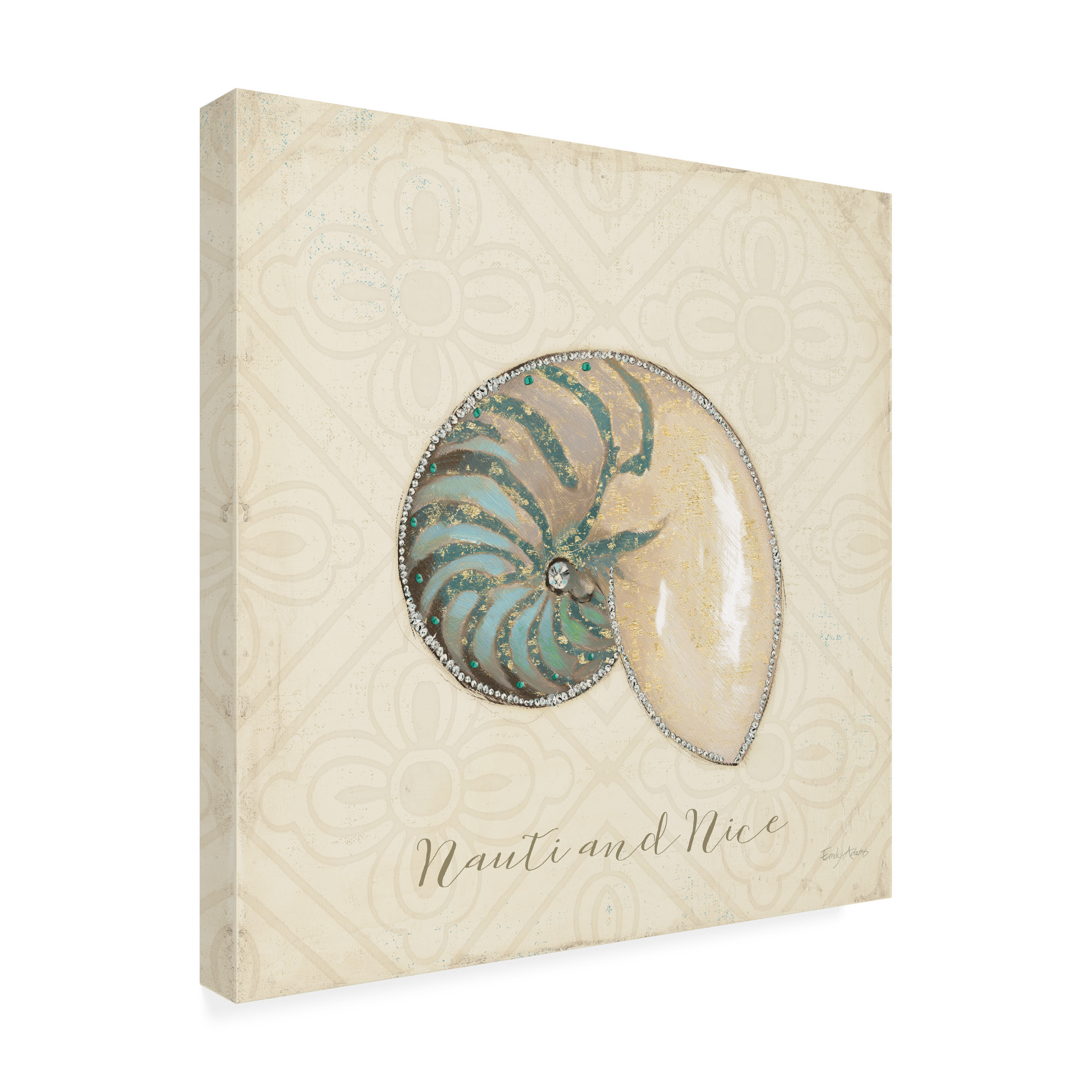 Trademark Fine Art Still Life Canvas Art ' Beach Treasures III Christmas ' by Emily Adams