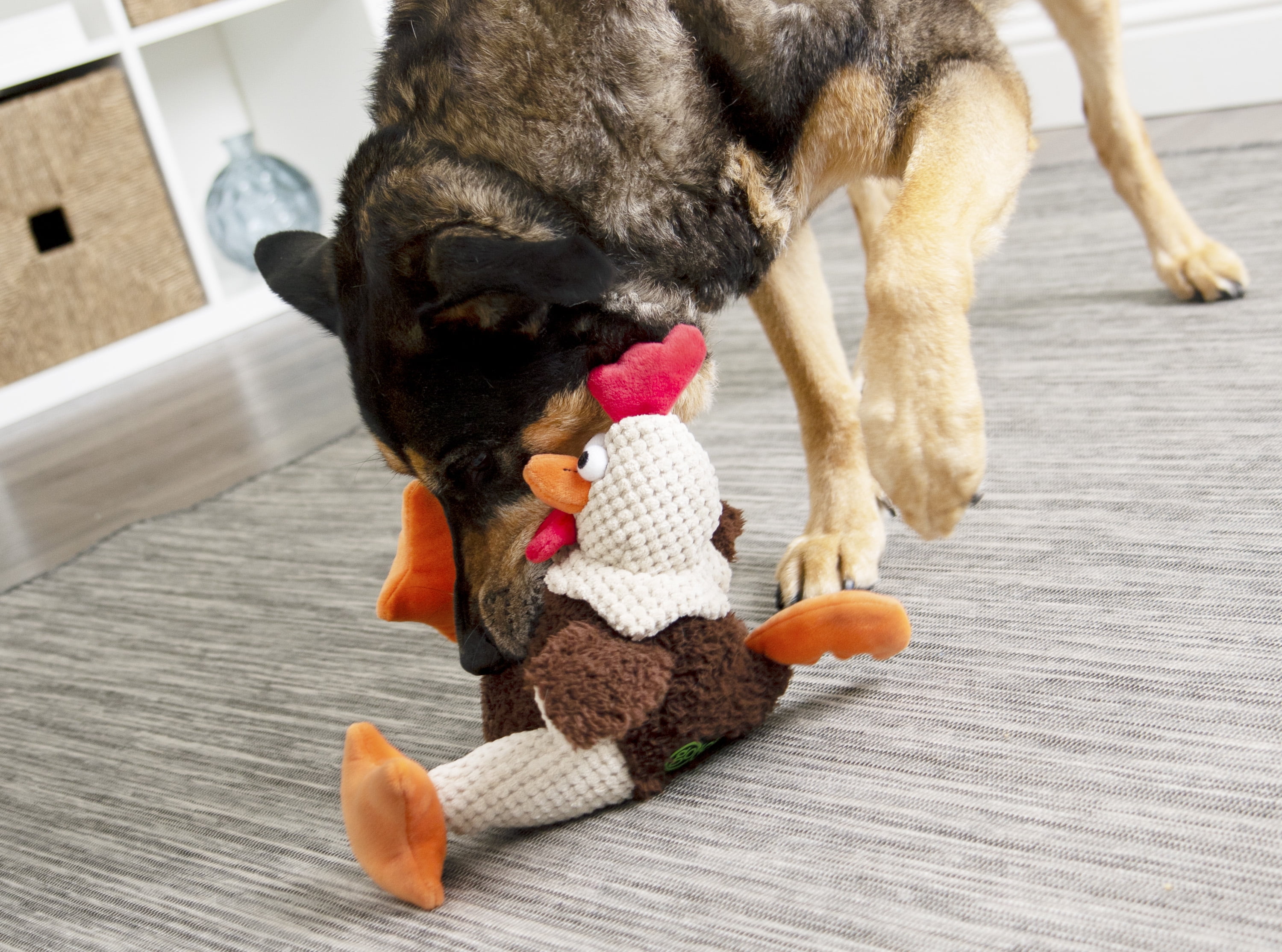 Kmart Dog Supplies maestranzamb.cl