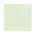 thumbnail image 2 of Mohawk Skytone Vellum Parchment Envelopes Spring Green Shade #10 Commercial Flap 4-1/8 x 9-1/2 Inches, 24W (89 gsm), 500 Envelopes/Box (Sold as 1 Box) (M98603), 2 of 2