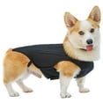 thumbnail image 3 of Shengyu Dog Back Brace Pet Back Pads Flexible Back Support Wrap for Injured Old Dogs L, 3 of 8