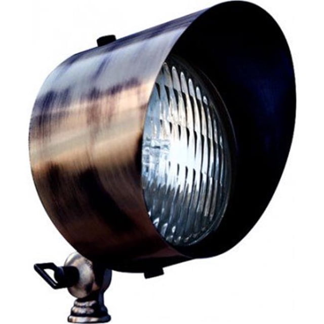 Dabmar Lighting LV30-LED9-ABZ 9W & 12V LED PAR36 Solid Brass Spot Light - Antique Bronze