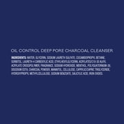 Biore Deep Pore Charcoal Daily Face Wash Care for Dirt & Makeup Removal, for Skin Care, 11.45 fl oz